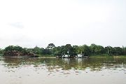 Foto: Cilts sievietes un saldūdens delfīnu meklējumi Borneo